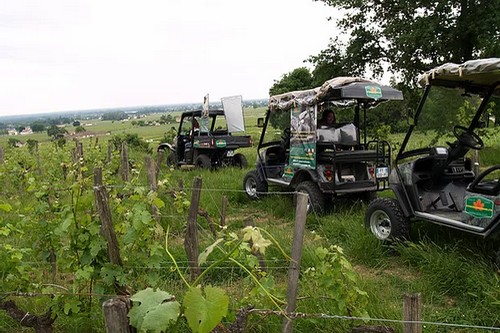 'Vignoble St Emilion' © 2020 Eco-Excursions 'Vignoble St Emilion', Eco-Excursions'